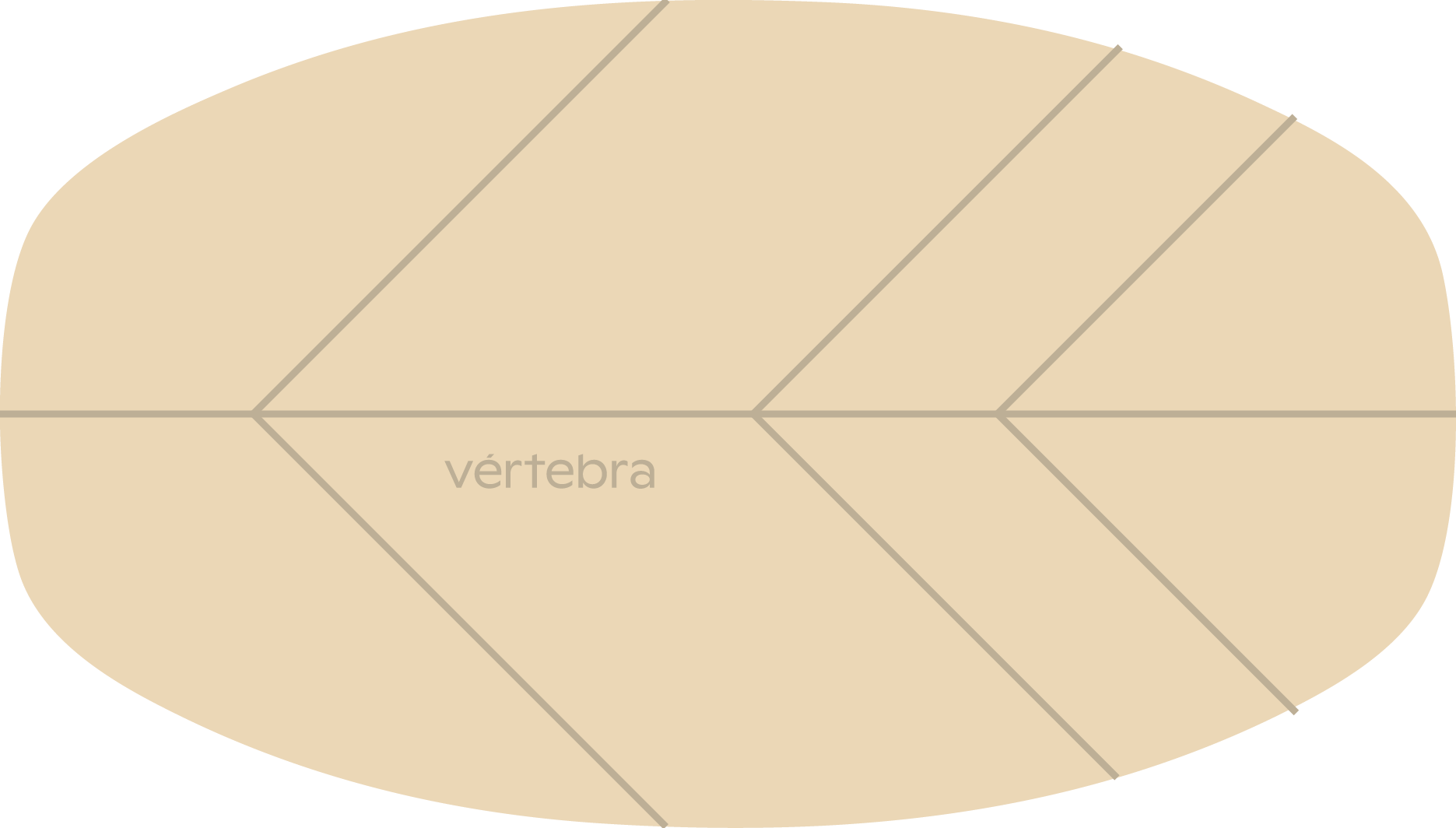Tabla de Equilibrio VértebraMX®