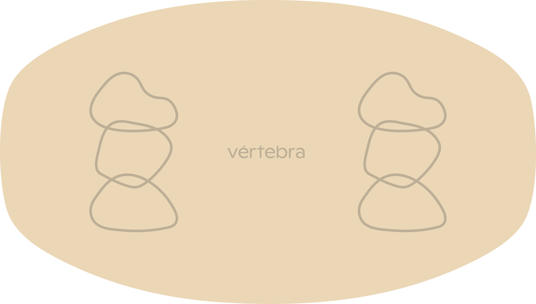 Tabla de Equilibrio VértebraMX®