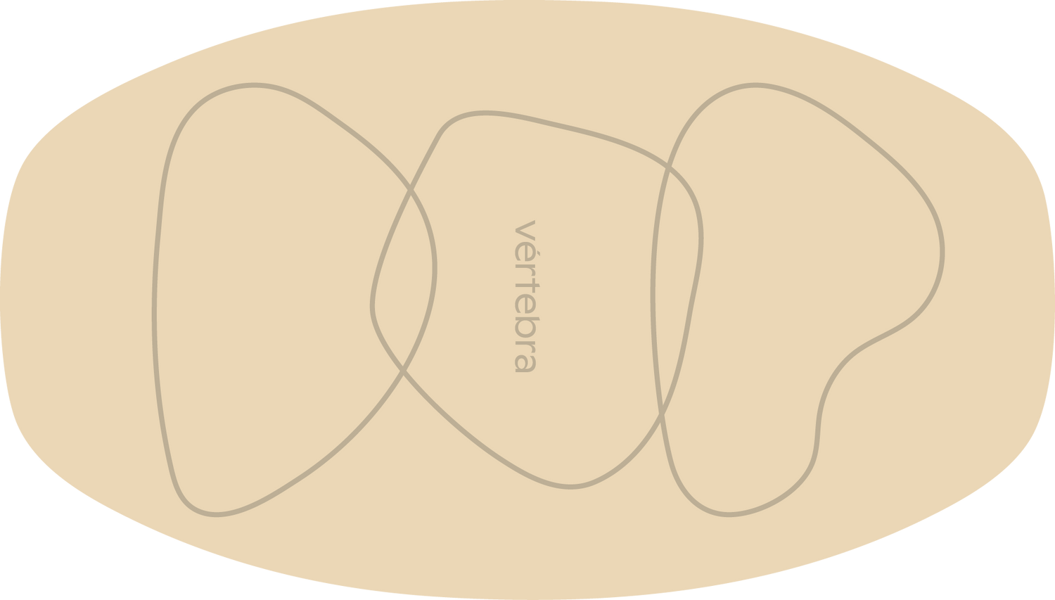 Tabla de Equilibrio VértebraMX®