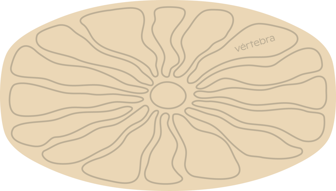 Tabla de Equilibrio VértebraMX®