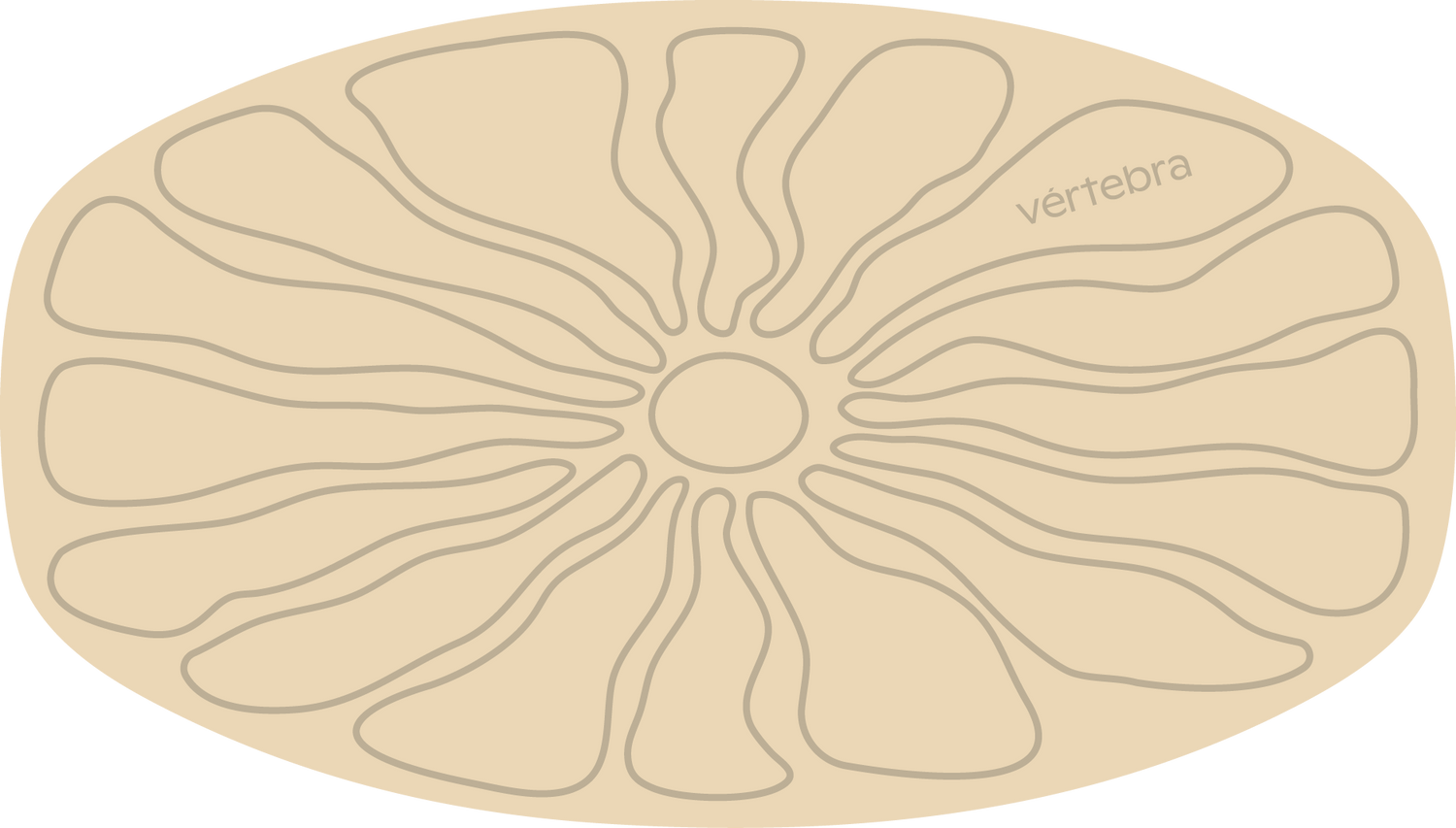 Tabla de Equilibrio VértebraMX®